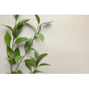 Английские обои Carl Robinson, коллекция Edition 20 White Natural Textures, артикул CL50048: премиальные дизайнерские обои для стильного интерьера