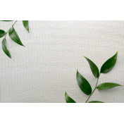 Английские обои Carl Robinson, коллекция Edition 20 White Natural Textures, артикул CL50050: премиальные дизайнерские обои для стильного интерьера