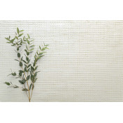 Английские обои Carl Robinson, коллекция Edition 20 White Natural Textures, артикул CL50051: премиальные дизайнерские обои для стильного интерьера