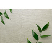 Английские обои Carl Robinson, коллекция Edition 20 White Natural Textures, артикул CL50056: премиальные дизайнерские обои для стильного интерьера