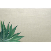 Английские обои Carl Robinson, коллекция Edition 20 White Natural Textures, артикул CL50058: премиальные дизайнерские обои для стильного интерьера