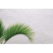 Английские обои Carl Robinson, коллекция Edition 20 White Natural Textures, артикул CL50061: премиальные дизайнерские обои для стильного интерьера