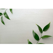 Английские обои Carl Robinson, коллекция Edition 20 White Natural Textures, артикул CL50062: премиальные дизайнерские обои для стильного интерьера