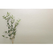 Английские обои Carl Robinson, коллекция Edition 20 White Natural Textures, артикул CL50063: премиальные дизайнерские обои для стильного интерьера