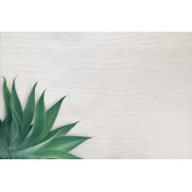 Английские обои Carl Robinson, коллекция Edition 20 White Natural Textures, артикул CL50064: премиальные дизайнерские обои для стильного интерьера