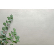 Английские обои Carl Robinson, коллекция Edition 20 White Natural Textures, артикул CL50065: премиальные дизайнерские обои для стильного интерьера