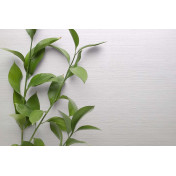 Английские обои Carl Robinson, коллекция Edition 20 White Natural Textures, артикул CL50066: премиальные дизайнерские обои для стильного интерьера