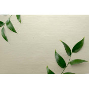 Английские обои Carl Robinson, коллекция Edition 20 White Natural Textures, артикул CL50068: премиальные дизайнерские обои для стильного интерьера