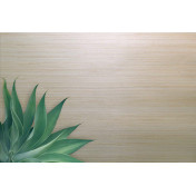 Английские обои Carl Robinson, коллекция Edition 20 White Natural Textures, артикул CL50070: премиальные дизайнерские обои для стильного интерьера