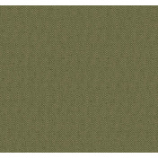 Английские обои Carl Robinson, коллекция Edition 21 The Gentleman, артикул CL70904