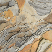 Французские обои CASADECO Encyclopedia 2 84593447