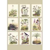 Французские обои CASADECO Encyclopedia ENCY83341466