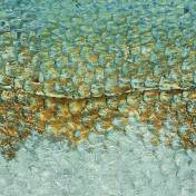 Панно Casadeco, коллекция Leathers, артикул LEAT87207122