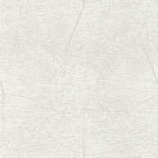 Французские обои Casadeco, коллекция So White 4, артикул SWHT83760101