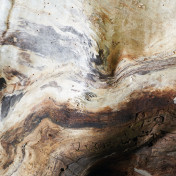 Французские обои CASADECO Wood 86151575