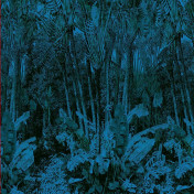 Панно Casamance, коллекция Oxymore 1, артикул 77321039