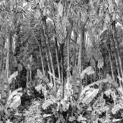 Панно Casamance, коллекция Oxymore 1, артикул 77325988