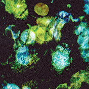 Французские обои Casamance, коллекция Oxymore 2, артикул 77430132