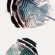 Французские обои Casamance, коллекция Oxymore 2, артикул 77580117