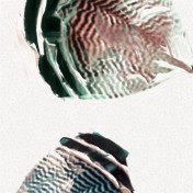 Французские обои Casamance, коллекция Oxymore 2, артикул 77580279