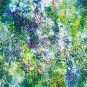 Французские обои CASAMANCE Oxymore 3 78008729