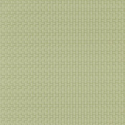 Обои CASELIO Jungle 100007303