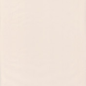 Обои CASELIO Jungle 69861303