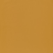 Обои CASELIO Jungle 69863210