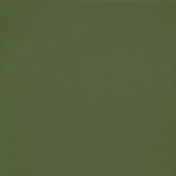 Обои CASELIO Jungle 69867313