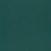 Обои CASELIO Jungle 69867717