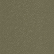 Обои CASELIO L’épopée 103737051