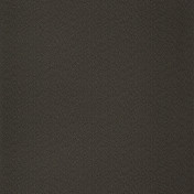 Обои CASELIO Moonlight 100409027