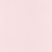 Обои CASELIO Nos Gravures 64524040