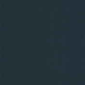 Обои CASELIO Nos Gravures 64526100