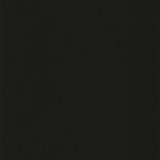 Обои CASELIO Nos Gravures 64529800