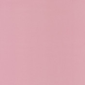 Обои CASELIO Pretty Lili 59654010