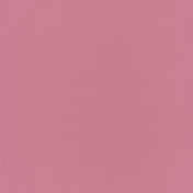 Обои CASELIO Pretty Lili 62254049