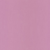 Обои CASELIO Pretty Lili 66325302