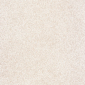 Обои CASELIO Sea You Soon 101730020