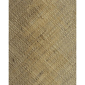 Нидерландские обои Chivasso, коллекция Monsoon, артикул CH9117-040