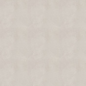 Нидерландские обои Chivasso, коллекция Structures, артикул CA8170/090