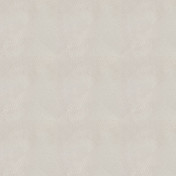 Нидерландские обои Chivasso, коллекция Wonderwalls, артикул CA8170-090