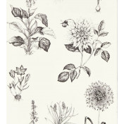 Английские обои Clarke & Clarke, коллекция Secret Garden, артикул W0197/02