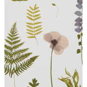 Английские обои Clarke & Clarke, коллекция Botanica, артикул W0091-01