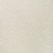 Английские обои Clarke & Clarke, коллекция Colony, артикул W0082-06