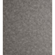 Английские обои Clarke & Clarke, коллекция Reflections, артикул W0056/03