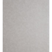 Английские обои Clarke & Clarke, коллекция Reflections, артикул W0056/04