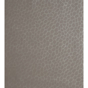 Английские обои Clarke & Clarke, коллекция Reflections, артикул W0058/02