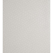 Английские обои Clarke & Clarke, коллекция Reflections, артикул W0058/04