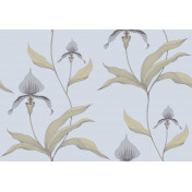 Английские обои Cole & Son, коллекция Contemporary Selection, артикул 66/4026